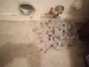 How much lint was in my dryer tube.